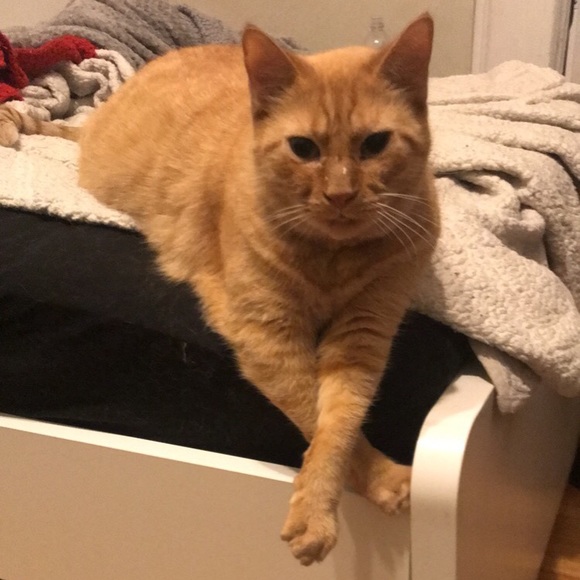 Meet your Posher, Hilary - Picture 1 of 1